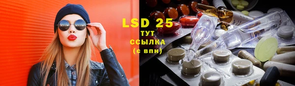 индика Вяземский