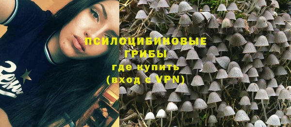 соль ск Верея