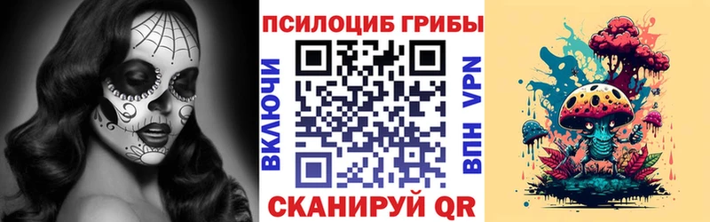 Псилоцибиновые грибы Psilocybe  Ефремов 