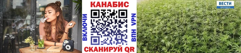 KRAKEN ссылки  дарк нет клад  Бошки марихуана конопля  Ефремов 